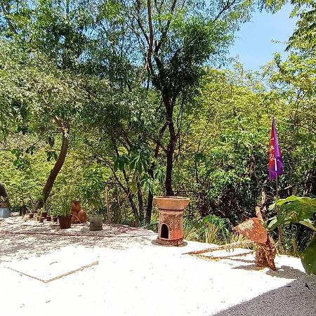 Laurel Jungle & Ocean Villa Playa Santa Teresa  Exterior foto