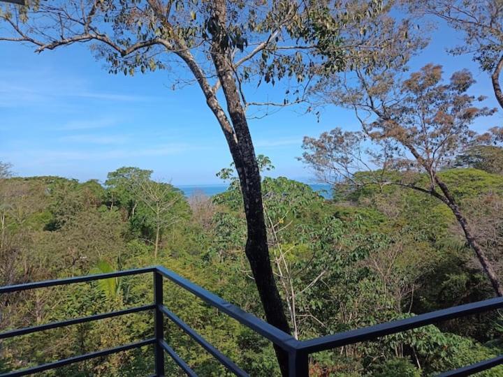 Laurel Jungle & Ocean Villa Playa Santa Teresa  Exterior foto