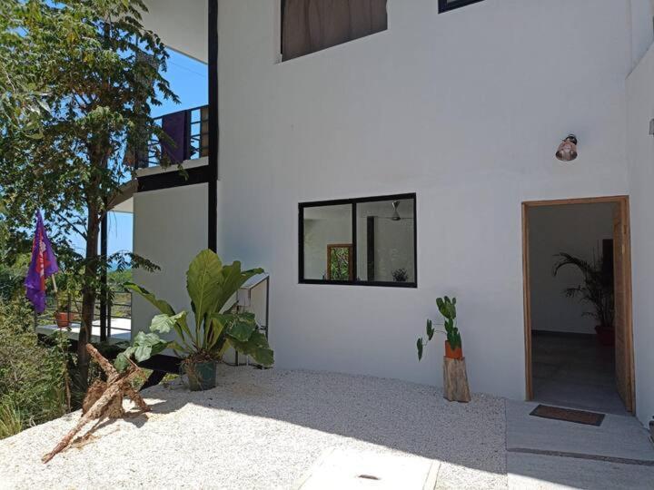 Laurel Jungle & Ocean Villa Playa Santa Teresa  Exterior foto